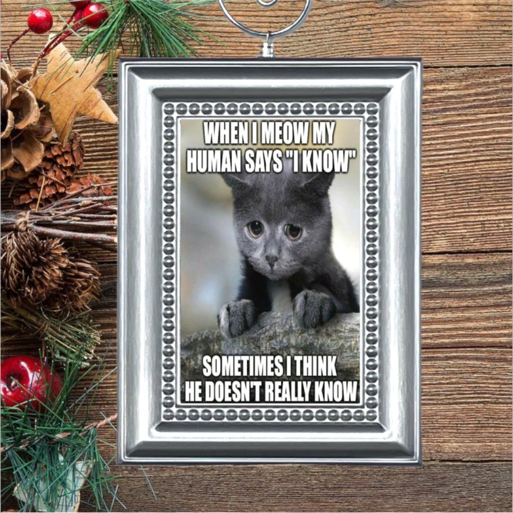 Cat Kitty Kitten‎ Funny Christmas Tree Ornament